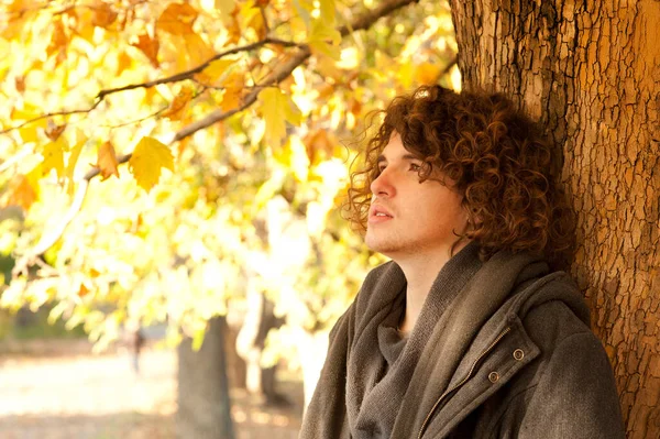Mladý Muž Profil Portrét Stojící Poblíž Stromu Oudoor Podzimním Parku — Stock fotografie