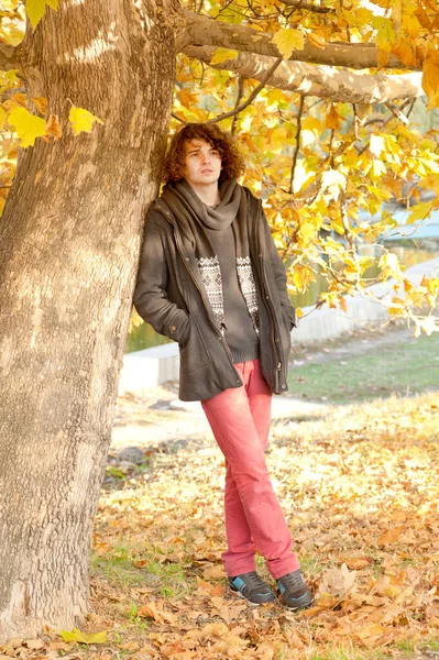 Junger Ruhiger Mann Steht Baum Draußen Herbstpark — Stockfoto