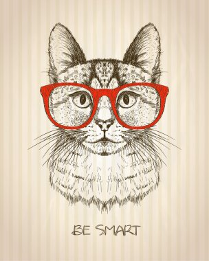 Hipster kedi ile kırmızı gözlük ile grafik VINTAGE poster.