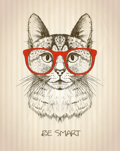 Cartel gráfico vintage con gato hipster con gafas rojas . — Vector de stock