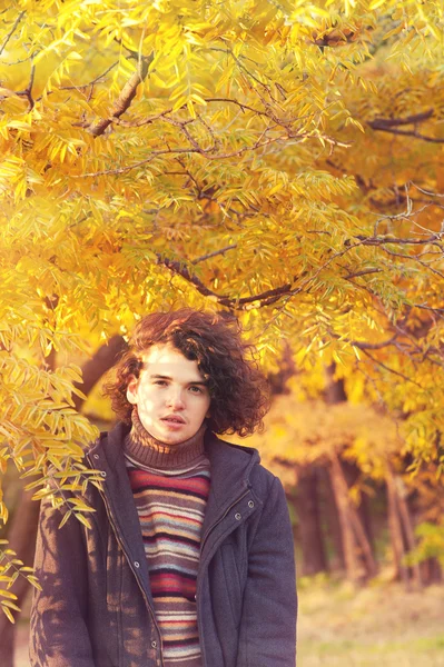 Jovem atraente homem calmo retrato vestido com jaqueta cinza e blusa listrada, de pé no parque de outono . — Fotografia de Stock