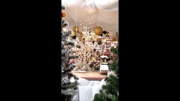 Marché Magasin Avec Noël Jouets Décorations Nouvel Commerce Hiver Festif — Video