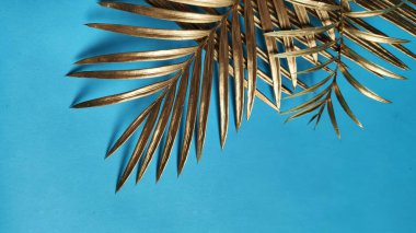 Üst manzara, klasik mavi arka planda Altın Palmiye yaprakları. Spac Kopyala