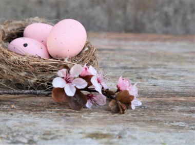 Yuvadaki Paskalya yumurtaları ve kırsal arka plandaki pembe çiçekli sakura dalları..
