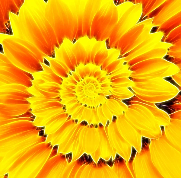 Sunflower infinity spiral abstract background. — Stock Photo, Image