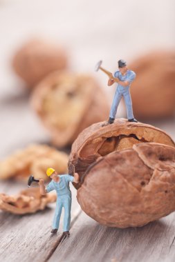 Small people split the walnut. The concept of cooking clipart