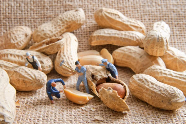 Small people split the peanuts. The concept of cooking — Stock Photo, Image