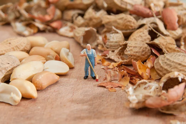 The little man sweeps shell peanuts. The concept of work, keepin — Stock Photo, Image