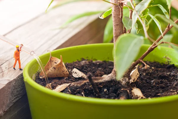 Little man watering the plant in a pot. the concept of work in t