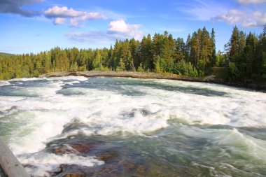 Storforsen, İsveç 'in Norrbottens şehrinde yer alan bir şelaledir. Suyun akışının güzel manzarası ve mavi gökyüzü olan bir yaz gününde arka planda ağaçlar. Lulea, İsveç. 