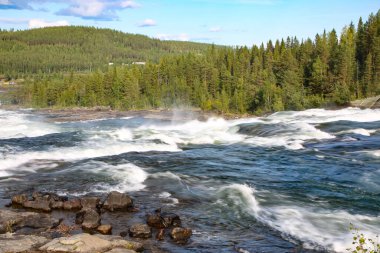 Storforsen, İsveç 'in Norrbottens şehrindeki Pite Nehri' nde yer alan bir şelaledir. Suyun akışının güzel manzarası ve mavi gökyüzü olan bir yaz gününde arka planda ağaçlar. İsveç.