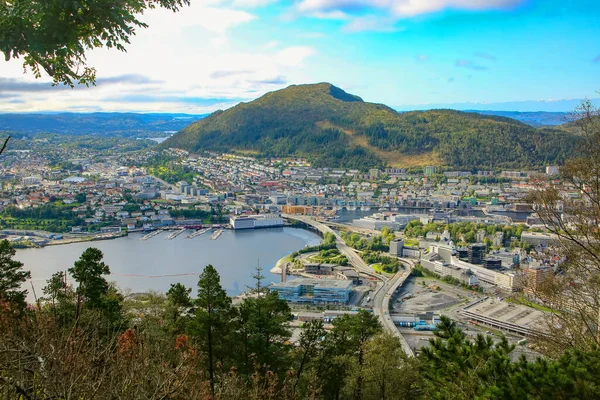从佛洛依巴嫩漏斗和佛洛依安山的顶部观看 挪威卑尔根市全景壮观 有建筑物 峡湾和山脉 图库图片