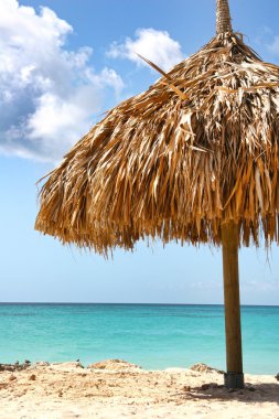 Natural umbrella giving shade on the beach, with turquoise sea &