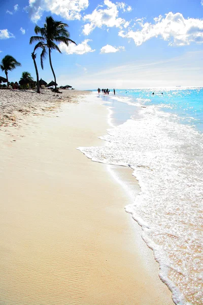 Beautiful sandy beach with palm trees, turquoise sea & blue sky, — Stock Photo, Image