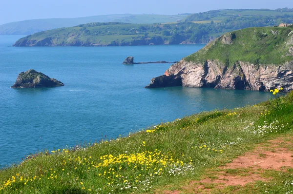 Vy från Berry Head — Stockfoto