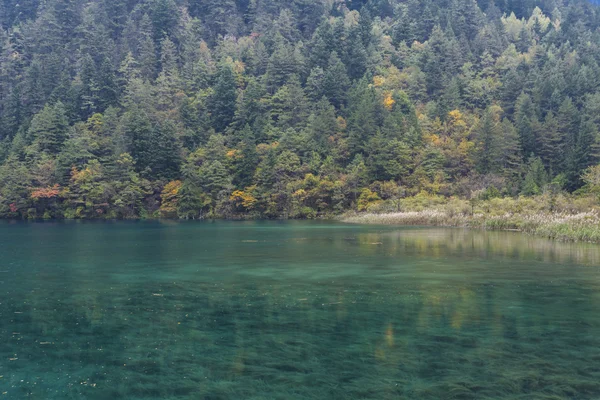 中国の四川省九寨溝の自然景観 — ストック写真