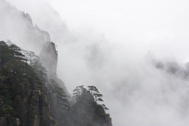Çin Huangshan bulutlar ve sis tarafından çevrili