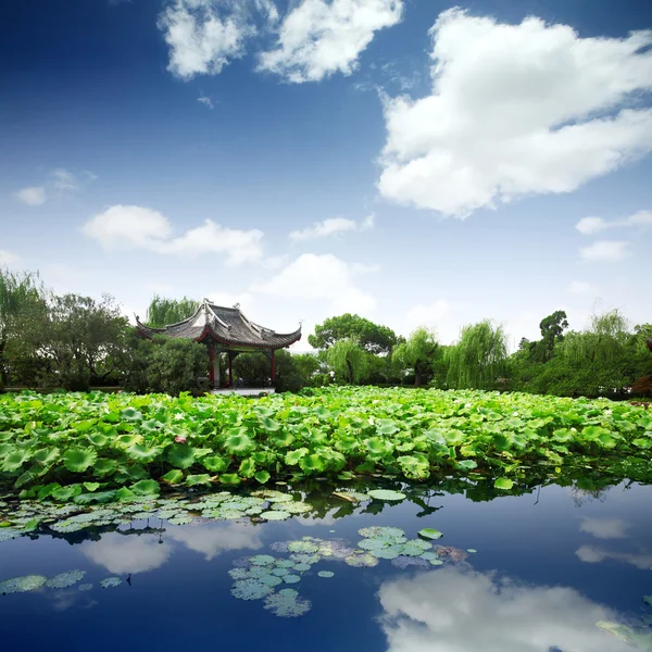The beauty of the Chinese garden — Stock Photo, Image