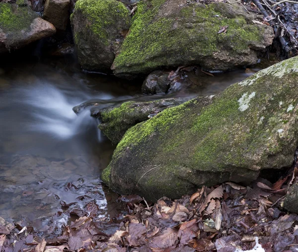 Gros plan sur les ruisseaux de montagne — Photo