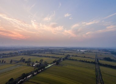 Kırsal paddy havadan görünümü
