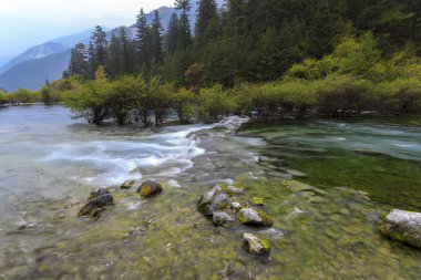 Çin Sichuan Jiuzhaigou güzel sahne