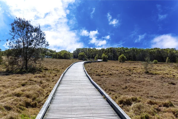 Ängen hösten landskap — Stockfoto