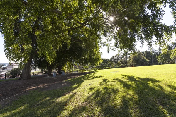 Parque Brisbane City — Foto de Stock