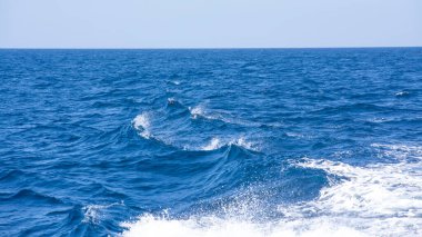 Bir turist teknesinin kıç tarafında dalgalar, Gold Coast, Avustralya