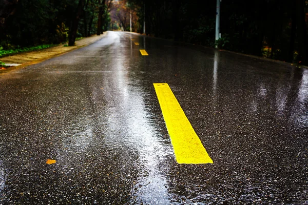 雨アスファルト道路 — ストック写真