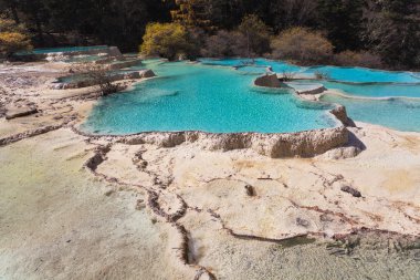 Çin huanglong onun