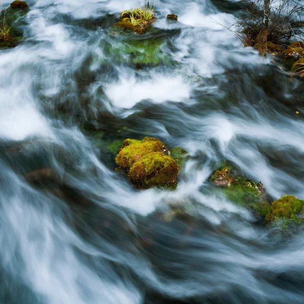 De stroom van moss — Stockfoto