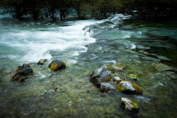 Le ruisseau de mousse — Photo
