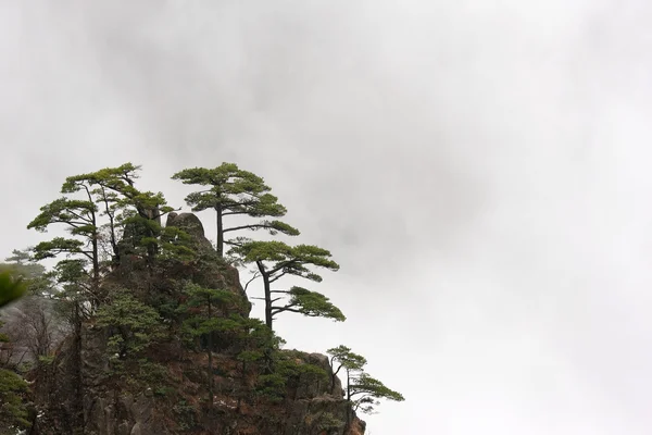 Çin huangshan — Stok fotoğraf