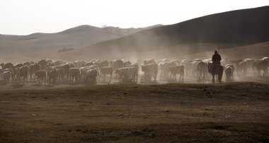 alacakaranlıkta otlatma, sonbahar otlak sahne