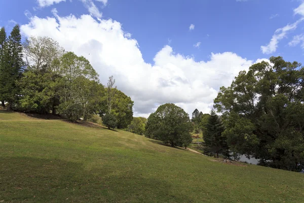 Brisbane utomhus park — Stockfoto