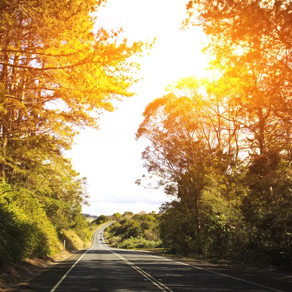 Autopista de montaña — Foto de Stock