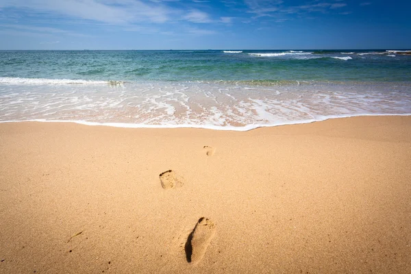 Brisbane, Australia coastline — Stock Photo, Image