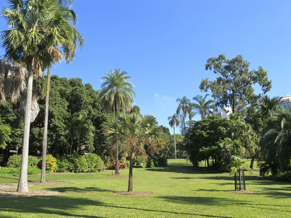 Parque Brisbane City — Foto de Stock