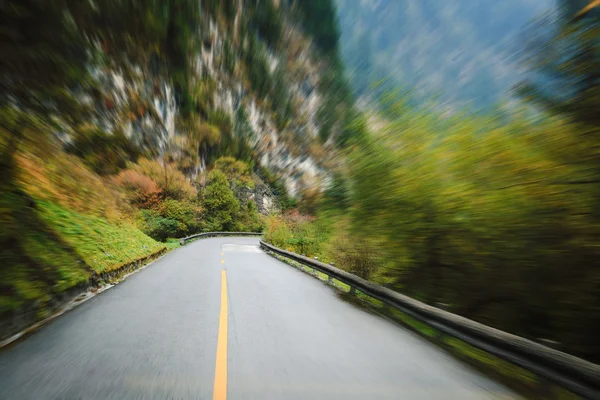 Old forest road — Stock Photo, Image