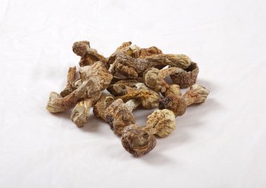 Kurutulmuş matsutake