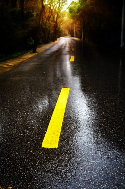 yağmur asfalt yol