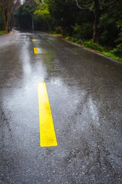yağmur asfalt yol