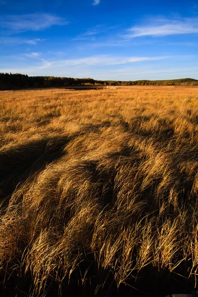 Őszi prairie táj — Stock Fotó