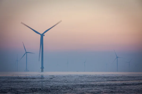 Windkraft an der Küste — Stockfoto