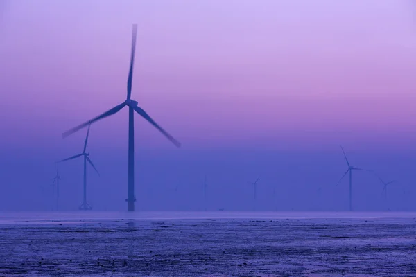 Windkraft an der Küste — Stockfoto