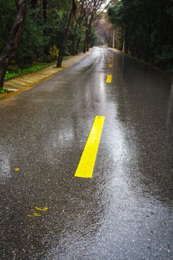 yağmur asfalt yol