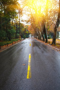 yağmur asfalt yol