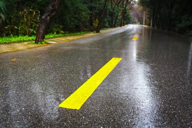yağmur asfalt yol