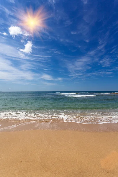 オーストラリアのビーチのクローズ アップ — ストック写真