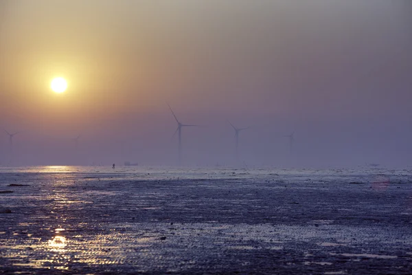 Coastal wind power plant — Stock Photo, Image